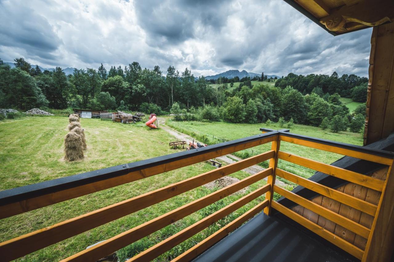 Domek Regionalny Dan Pio 2 Zakopane Kültér fotó